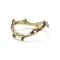 HR-6-B \"PAIN\" Ring
