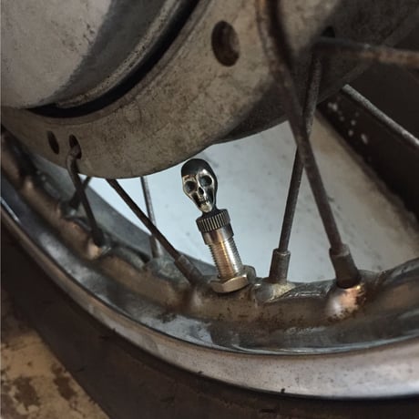 HBC-1-B,WB "VintageSkull"ValveCap
