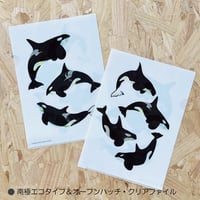 南極エコタイプ＆オープンパッチ・クリアファイル