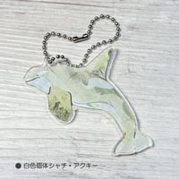 アクリルキーホルダー・シャチ白色個体