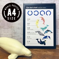 Eye test chart-cetacean version-　A4ポスター