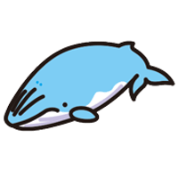 イルクジ・顔かくし素材　ニタリクジラ