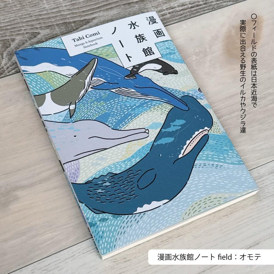 6822bc886f1dc985c20cd179