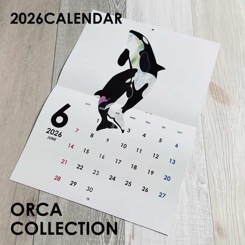 2026年壁掛け・シャチカレンダー ORCA COLLECTION | クジラの雑貨屋さん