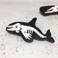 ホネホネ・ブローチ「シャチ」