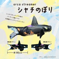 シャチのぼり