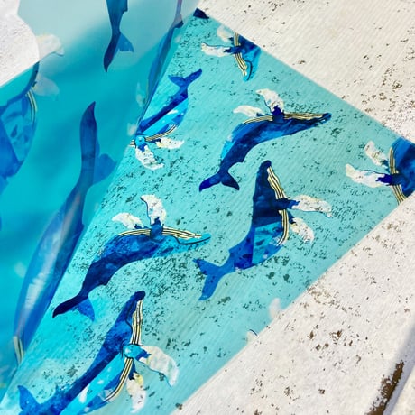 ザトウクジラ　A4クリアファイル