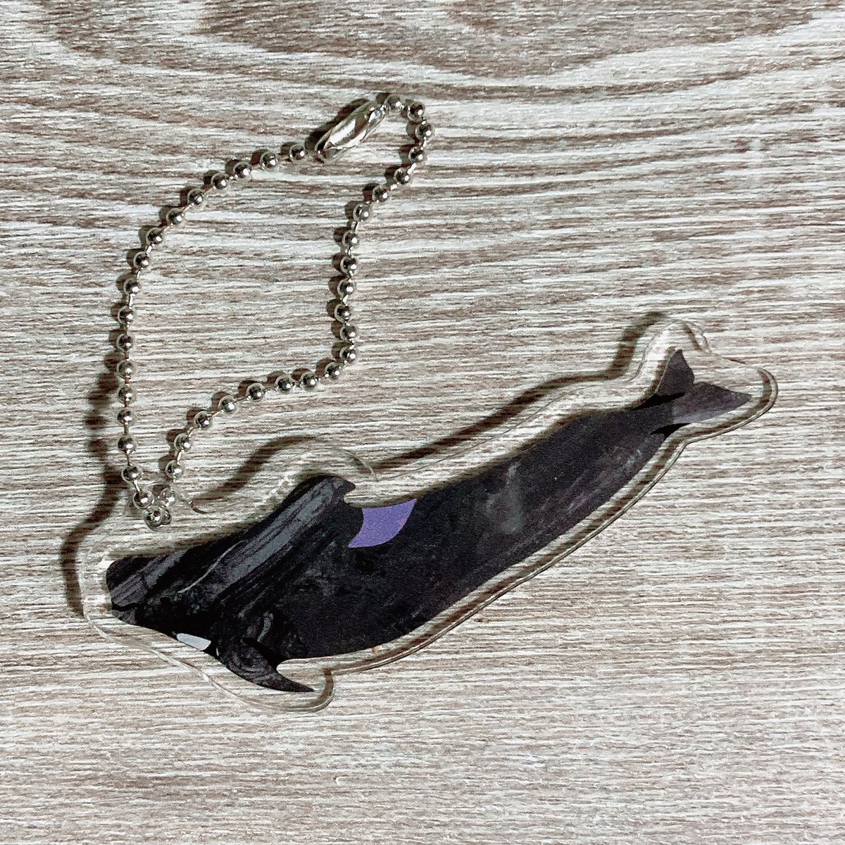 アクリルキーホルダー：コビレゴンドウ | クジラの雑貨屋さん