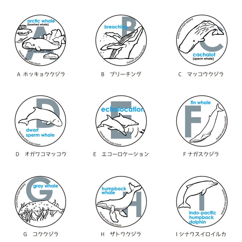 【サイン有】まふまふ 缶バッジ アルファベット a アルファベット 缶バッジ 【k002】 その他アクセサリー Kura*ra