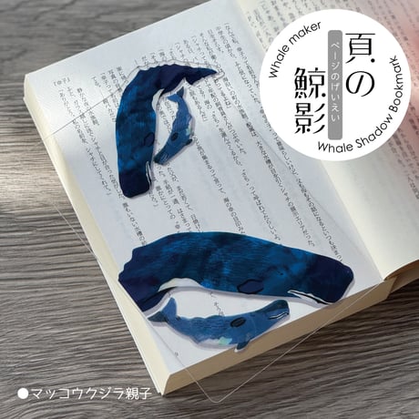 マッコウ鯨　本物立て切色々　お買得品 クジラの雑貨屋さん