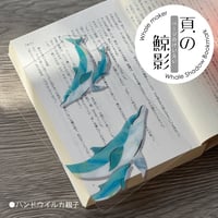 頁の鯨影 Whale Shadow Bookmark ハンドウイルカ親子