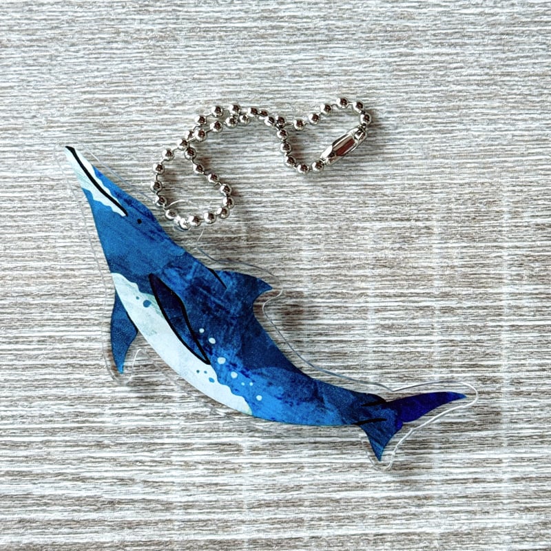 アクリルキーホルダー・シワハイルカ | クジラの雑貨屋さん