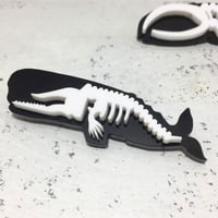 ホネホネ・ブローチ「マッコウクジラ」