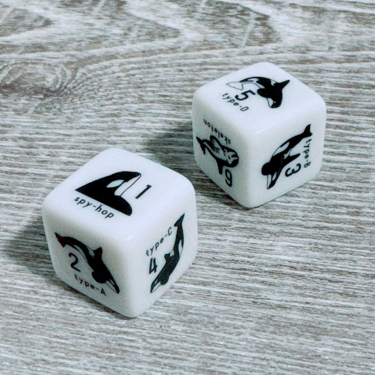 シャチコロ ※1個 | クジラの雑貨屋さん