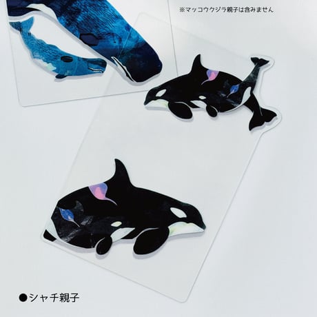 頁の鯨影 Whale Shadow Bookmark シャチ親子