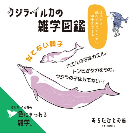 ◉書店様向け　クジラ・イルカの雑学図鑑　店頭POP
