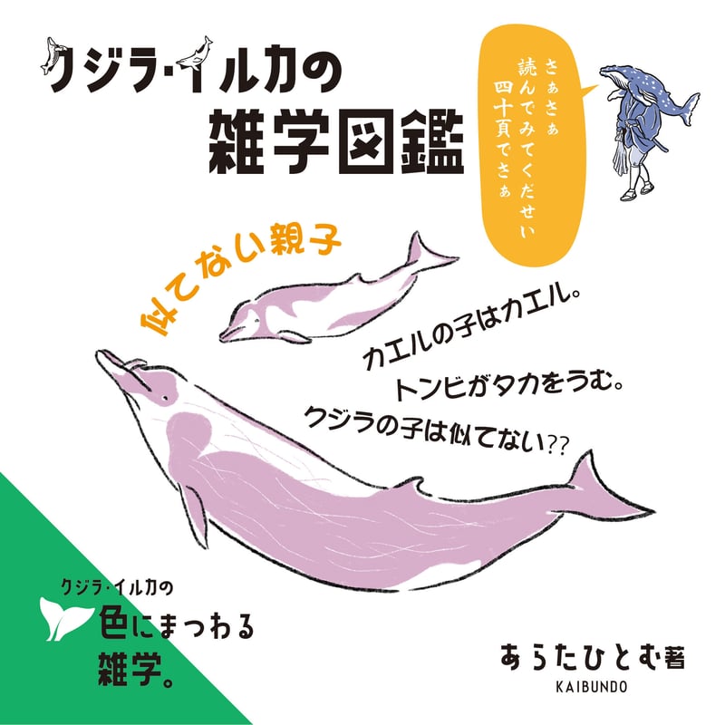 ◉書店様向け クジラ・イルカの雑学図鑑 店頭POP | クジラの雑貨屋さん