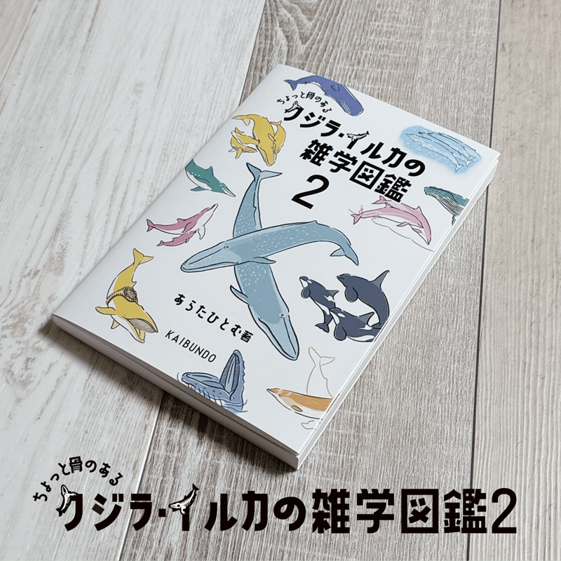 希少★イタリア旧　カモメとイルカデザイン　100リラ　25枚 クジラ・イルカの雑学図鑑2」※特典付き | クジラの雑貨屋さん