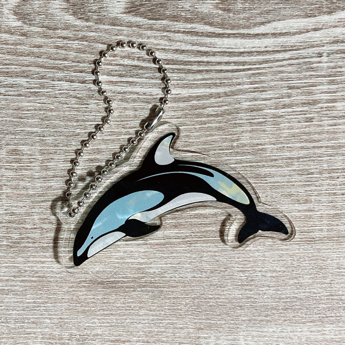 アクリルキーホルダー：カマイルカ | クジラの雑貨屋さん