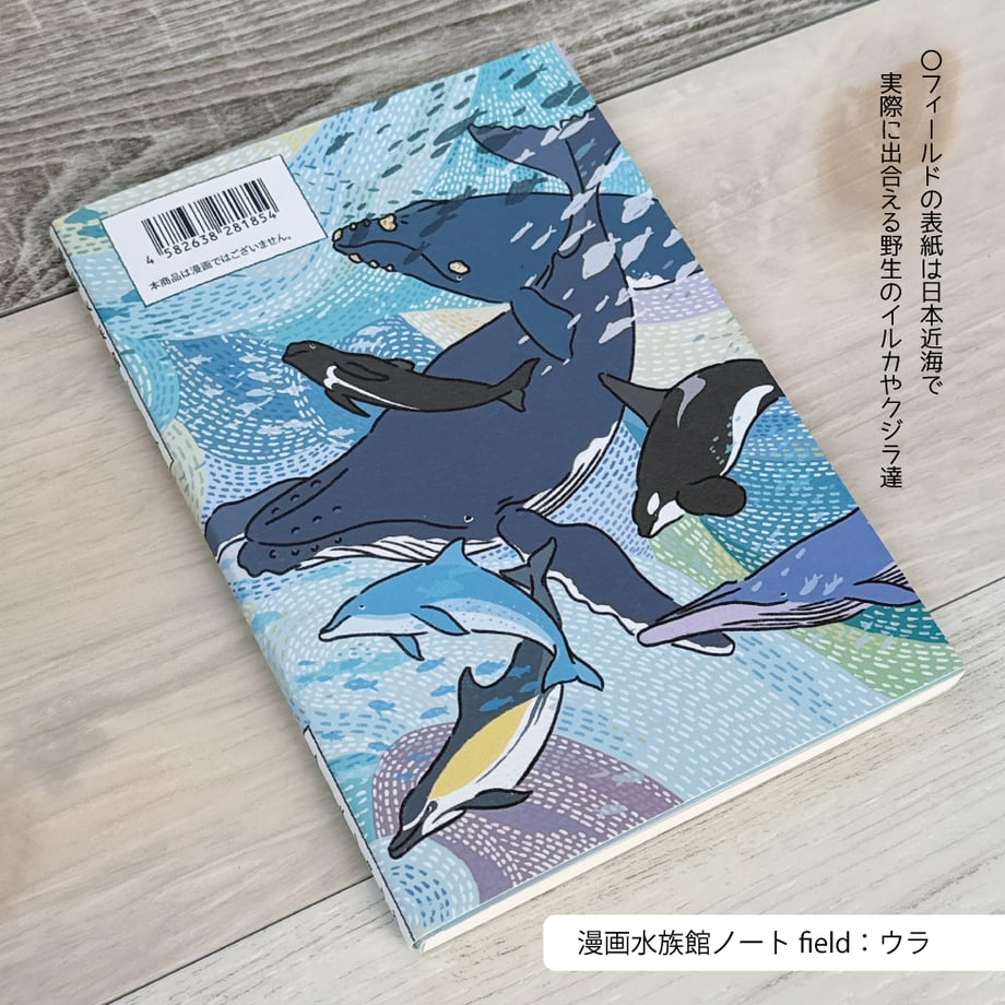 6822bc886f1dc985c20cd179