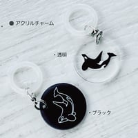 シャチ・アクリルチャーム全２種