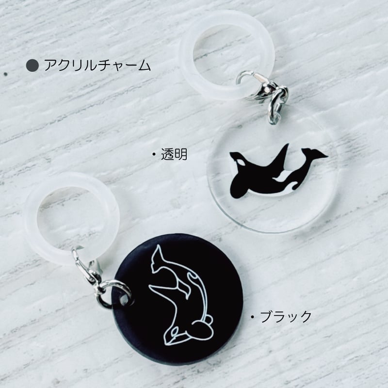 シャチ・アクリルチャーム全2種 | クジラの雑貨屋さん