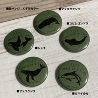 缶バッジ：くすみカラーB