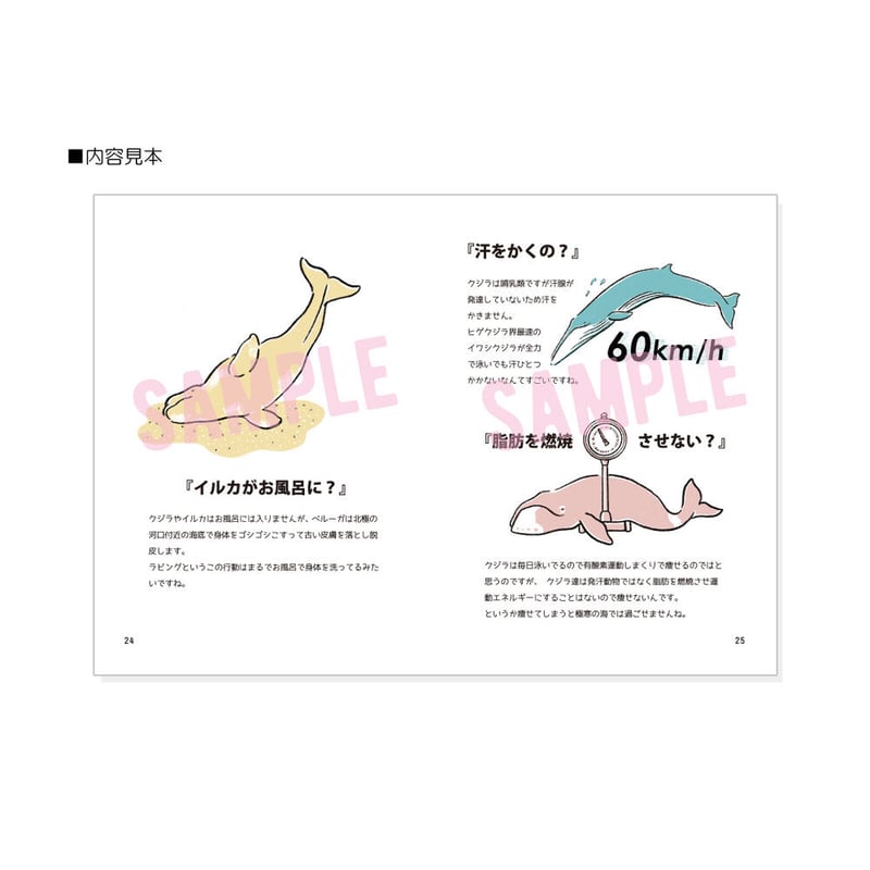 クジラ・イルカの雑学図鑑 海文堂出版社 | クジラの雑貨屋さん