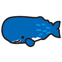 イルクジ・顔かくし素材　マッコウクジラ