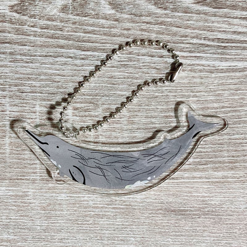 アクリルキーホルダー：ツチクジラ | クジラの雑貨屋さん