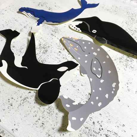 ダイカットステッカー・コククジラ