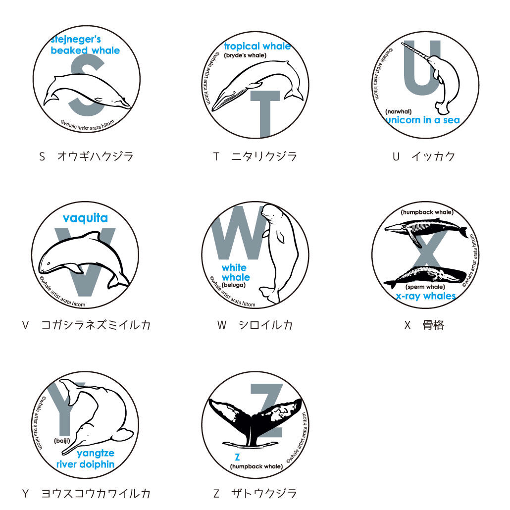 アルファベット缶バッジ S～Z | クジラの雑貨屋さん