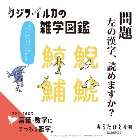 ◉書店様向け　クジラ・イルカの雑学図鑑　店頭POP