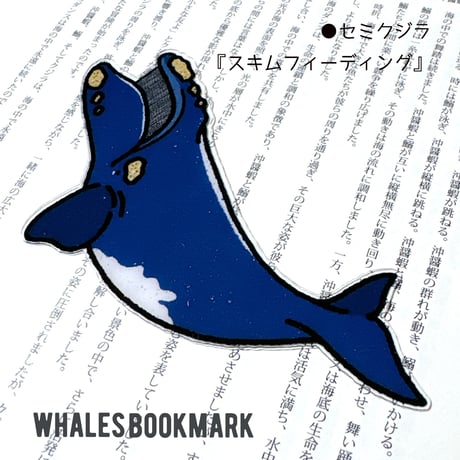 クジラ・フィーディング栞