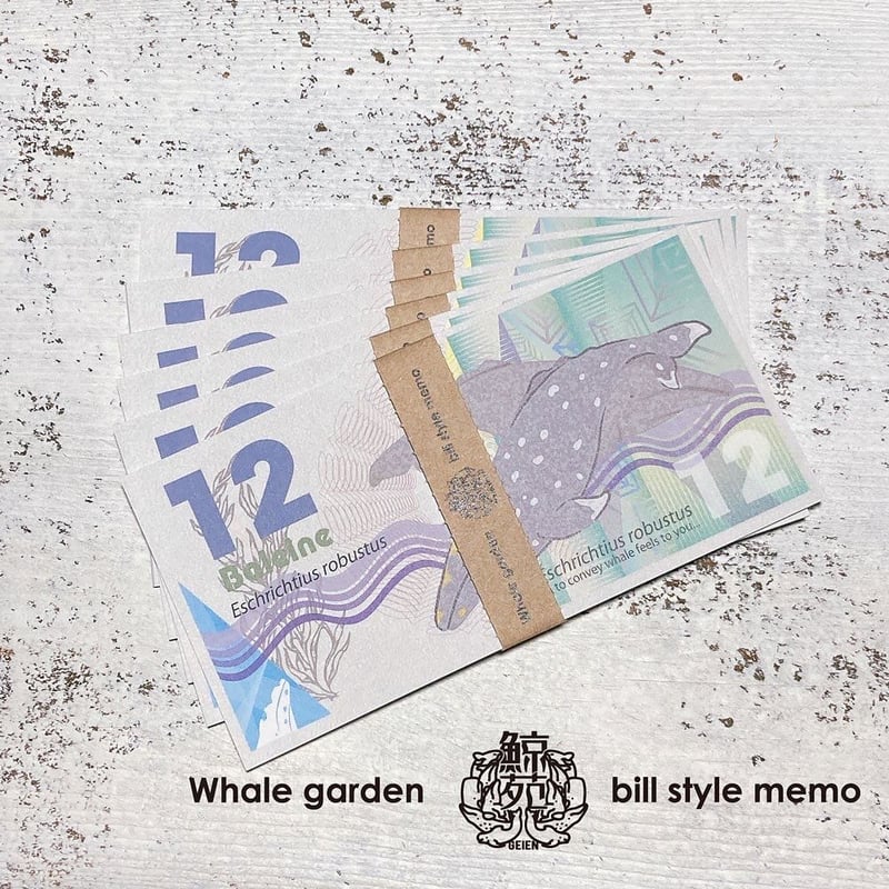 12Baleine紙幣メモ 10枚セット | クジラの雑貨屋さん
