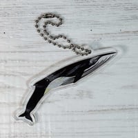アクリルキーホルダー：ツチクジラ | クジラの雑貨屋さん