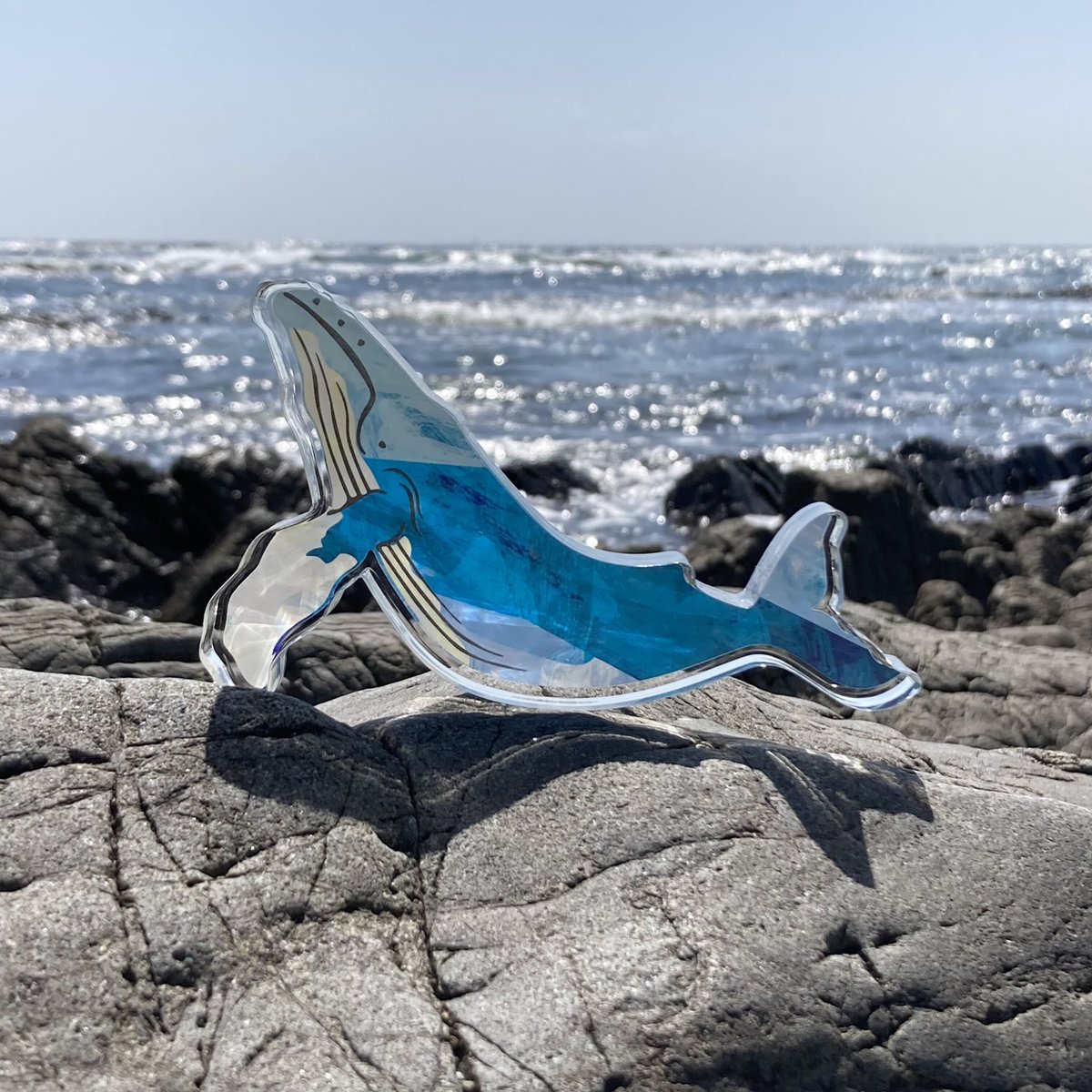 シルヴィ　アクスタ2枚　UH シャチ・アクスタ | クジラの雑貨屋さん