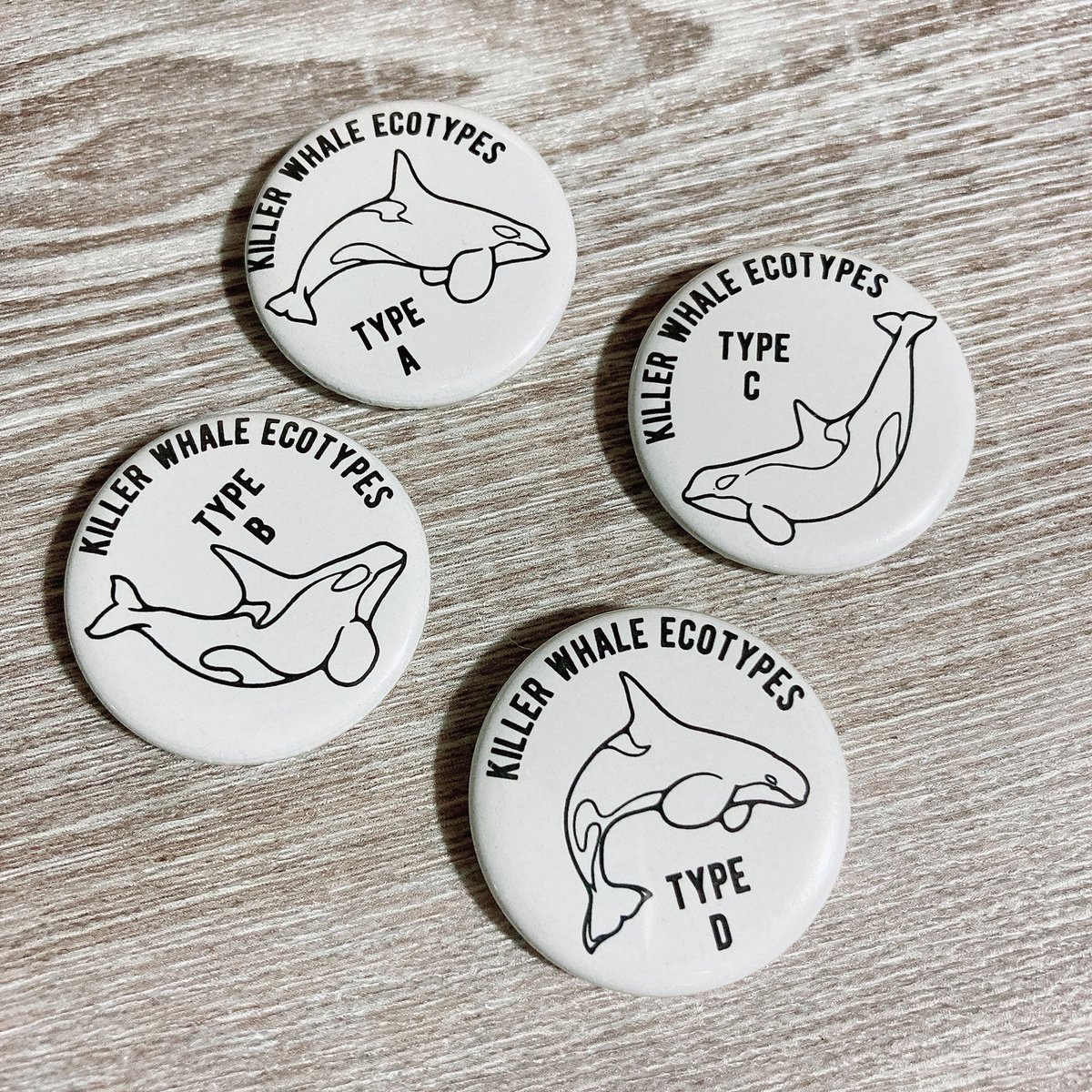 シャチ・エコタイプ缶バッジ 4種セット | クジラの雑貨屋さん