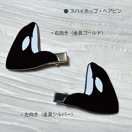 クジラの雑貨屋さん