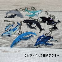 クジラ・イルカ親子アクキー