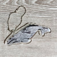 アクリルキーホルダー：コククジラ