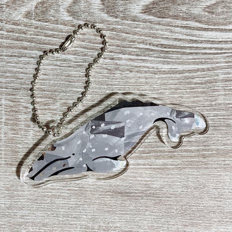 アクリルキーホルダー：コククジラ
