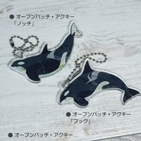 シャチ・オープンパッチアクキー全２種