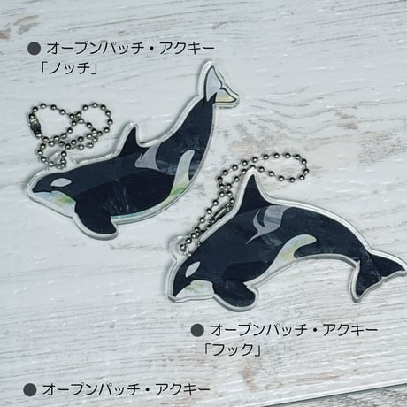 超希少　クジラ　シャチ　イルカ　耳骨　歯　ハンドメイド　インテリア　トローリング 超希少クジラシャチイルカ耳骨歯ハンドメイドインテリアトローリング