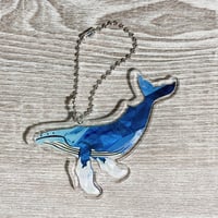 アクリルキーホルダー：ザトウクジラ