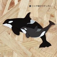 ダイカットステッカー・シャチ親子