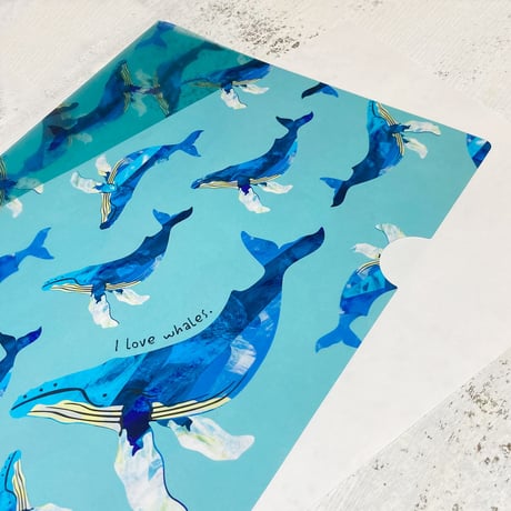 ザトウクジラ　A4クリアファイル