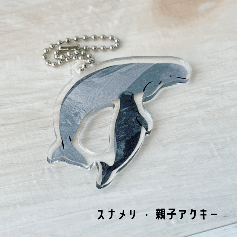 クジラ・イルカ親子アクキー | クジラの雑貨屋さん