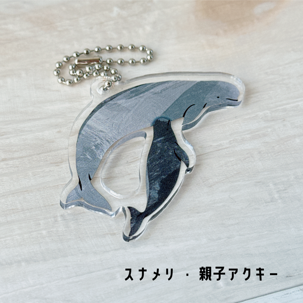 クジラ・イルカ親子アクキー | クジラの雑貨屋さん