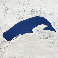 ダイカットステッカー・マッコクジラ